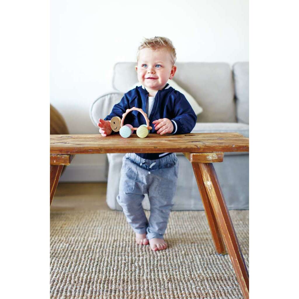 Rennschildkröte Rike 