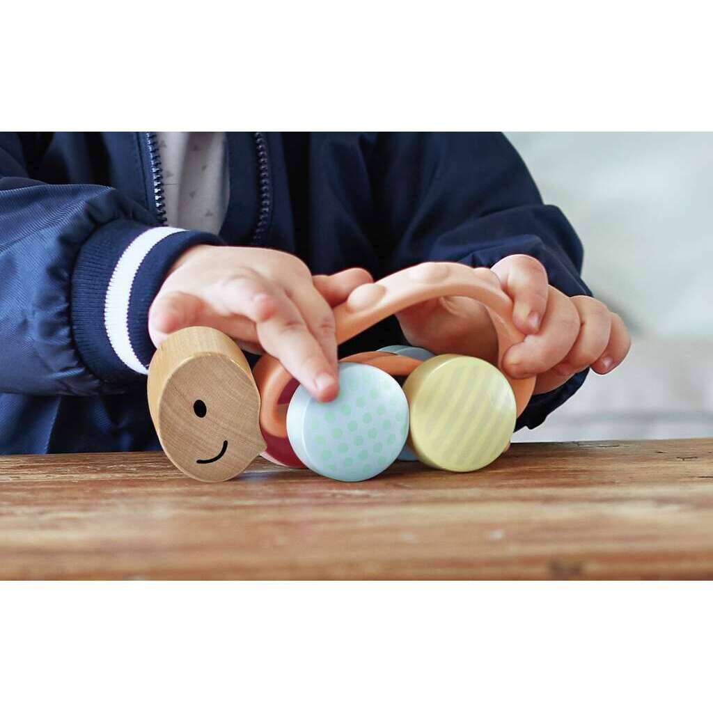 Rennschildkröte Rike 