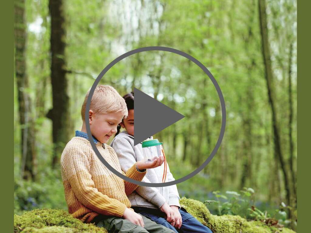 Entdecker-Käferglas