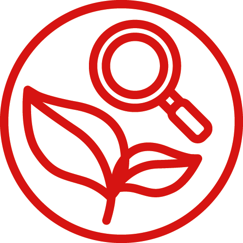 Entdecken & Erforschen