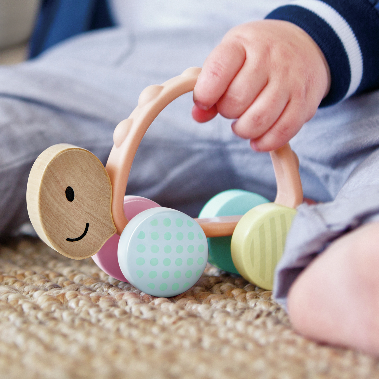 Rennschildkröte Rike 