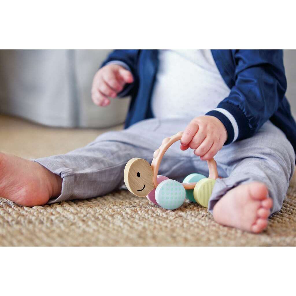 Rennschildkröte Rike 