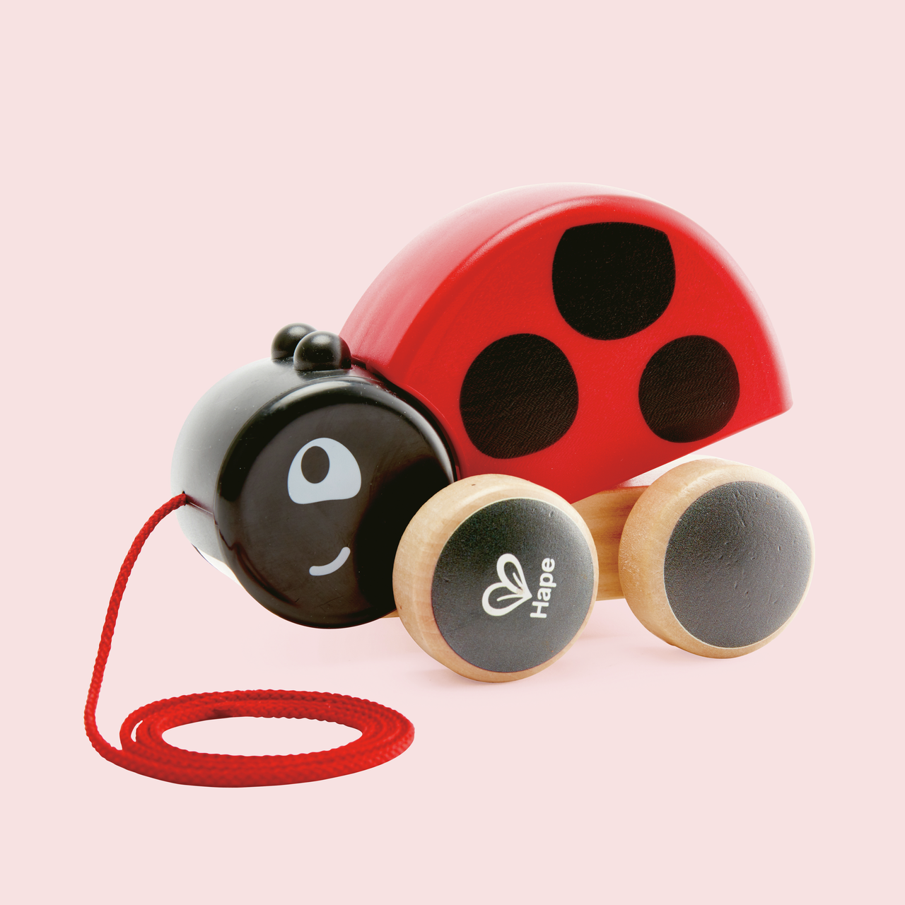 Nachziehkäfer Marie