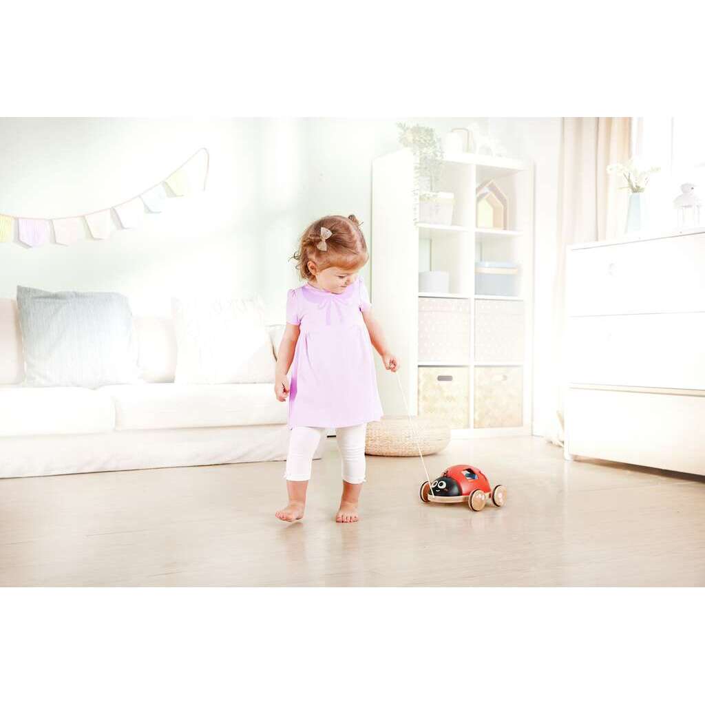 Formensortierer Marienkäfer 