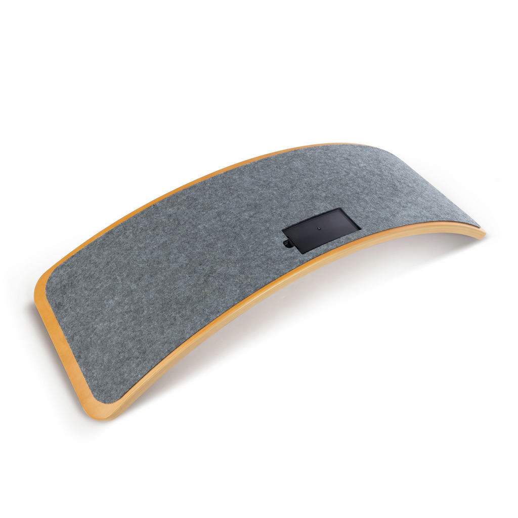 Intelligentes Balance Board