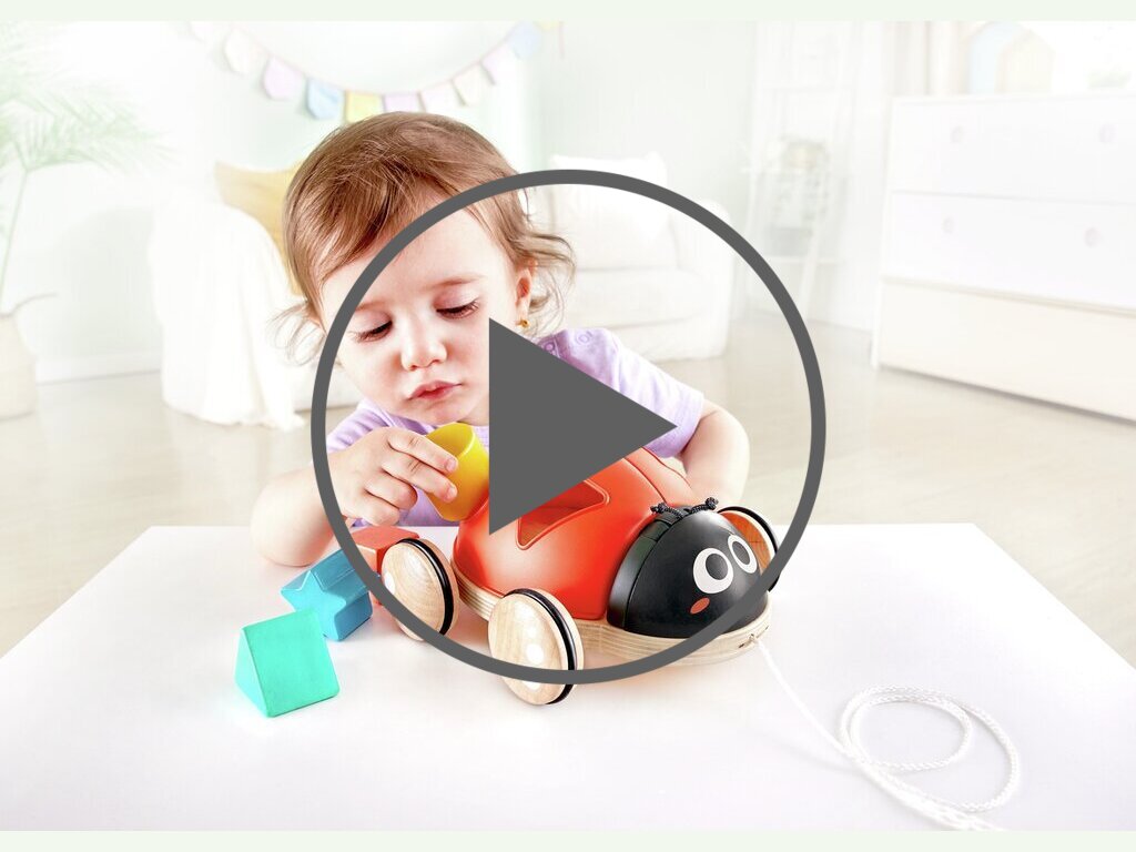 Formensortierer Marienkäfer 