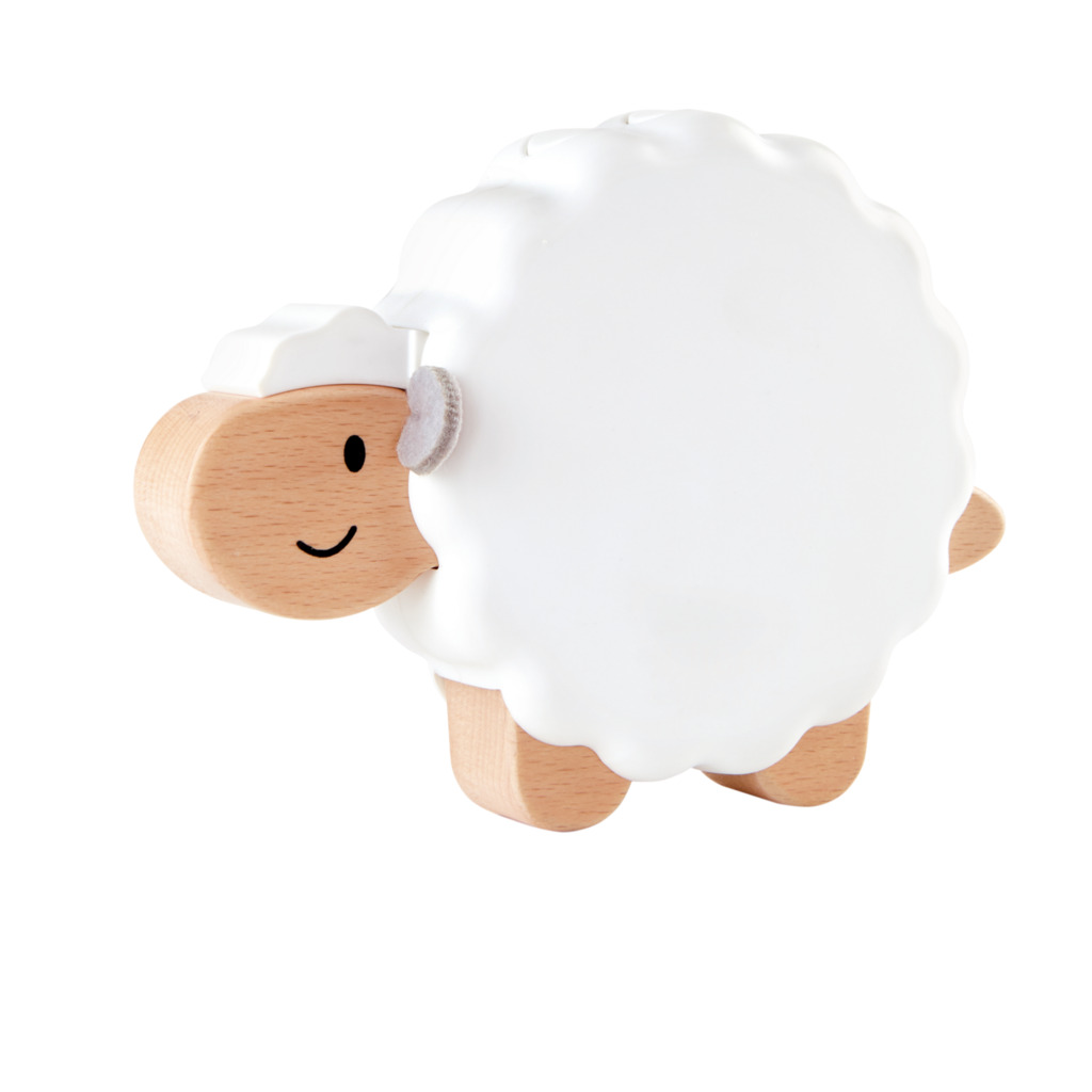 Erstes Spielset für Babys